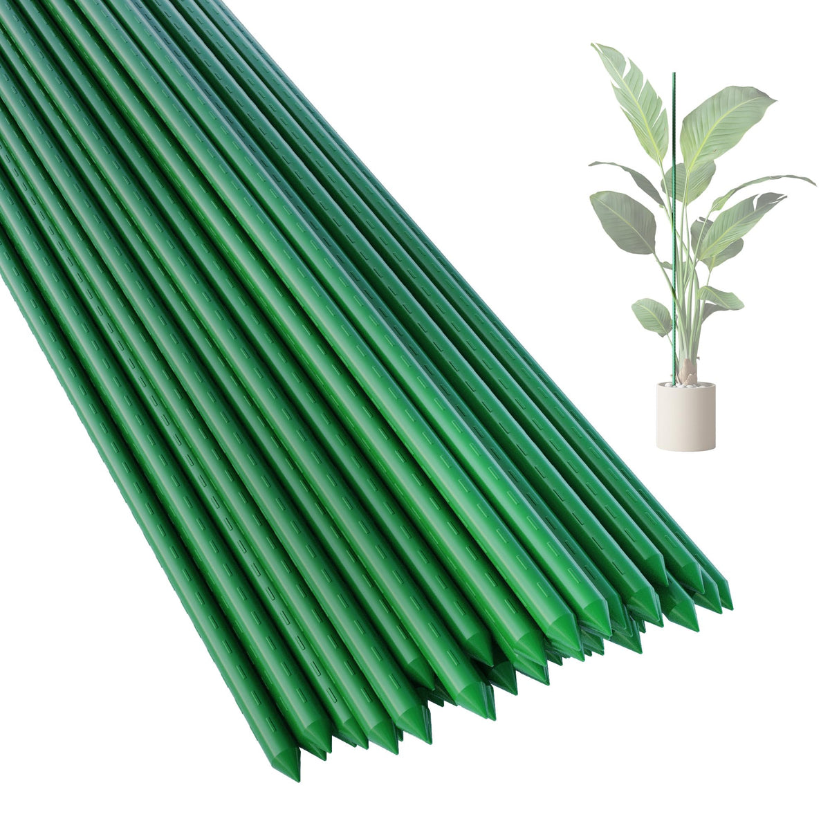 PROWORX 36-inch plant stake being inserted for sturdy garden support.