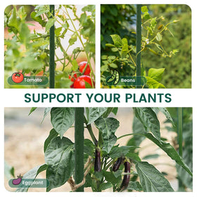 PROWORX stake features green rust-resistant coating for lasting garden durability.