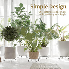 PROWORX indoor-outdoor plant display stand fits living rooms and balconies