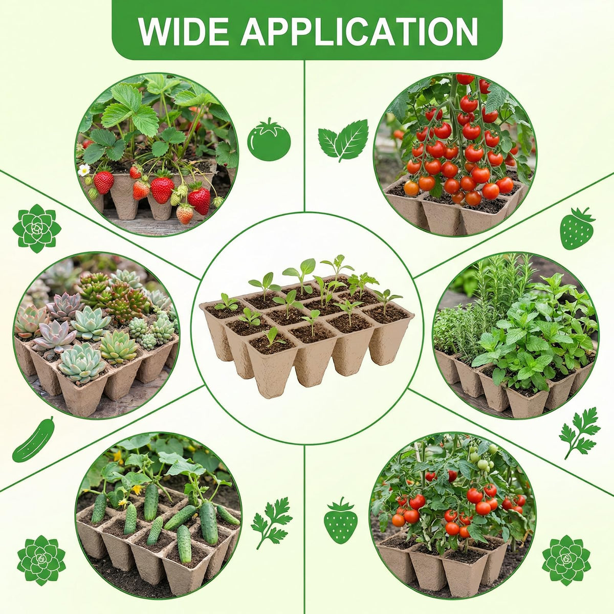 Prudiut all-in-one seed starting kit saves time in planting