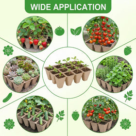 Prudiut all-in-one seed starting kit saves time in planting