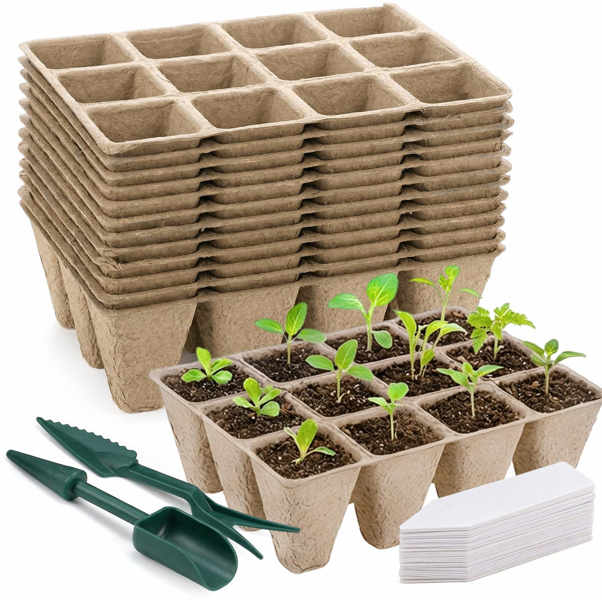 Prudiut seed starter tray with 144 cells for organized germination and easy transplanting