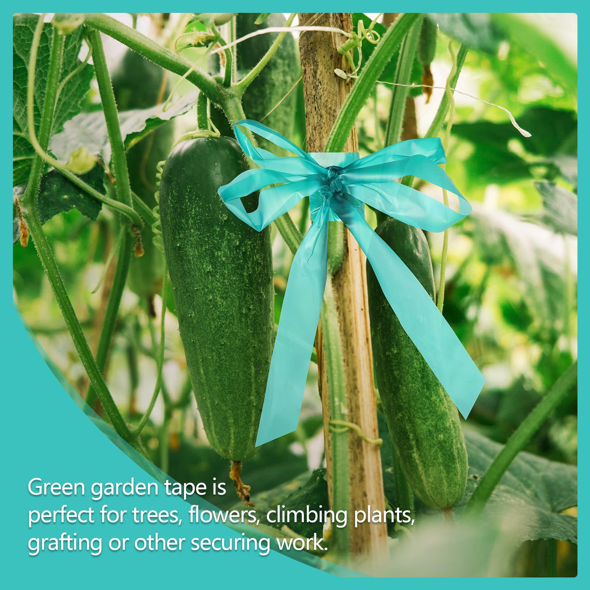 Prudiut stretch-tie-tape provides sturdy tree and vine support