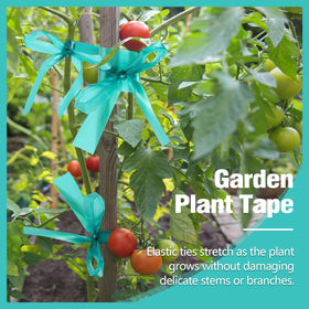 Prudiut stretch-tie-tape used outdoors for windproof plant stabilization
