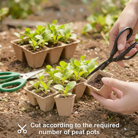 Prudiut transplant tools enable precise sowing and handling of seedlings