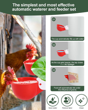 Psarnuk gravity auto-refill demonstrates hands free feeding and watering