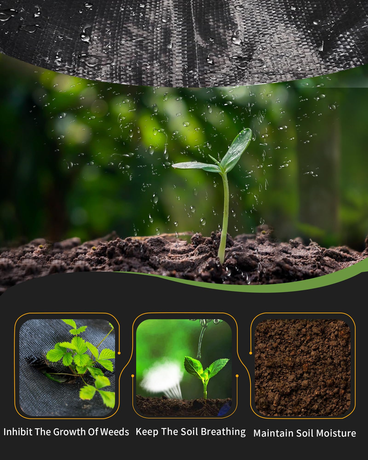 Pterying weed-control ground cover reduces sunlight exposure on soil
