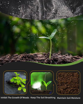 Pterying weed-control ground cover reduces sunlight exposure on soil