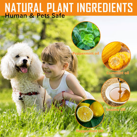 PUBAMALL peppermint oil action deters mice and rats with pleasant aroma.