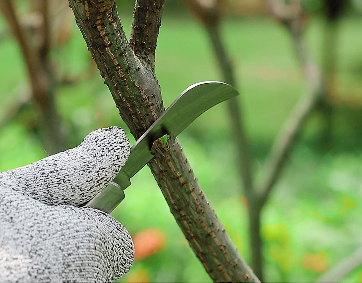 PUELDU grafting tapes protect grafts from dehydration and pests.