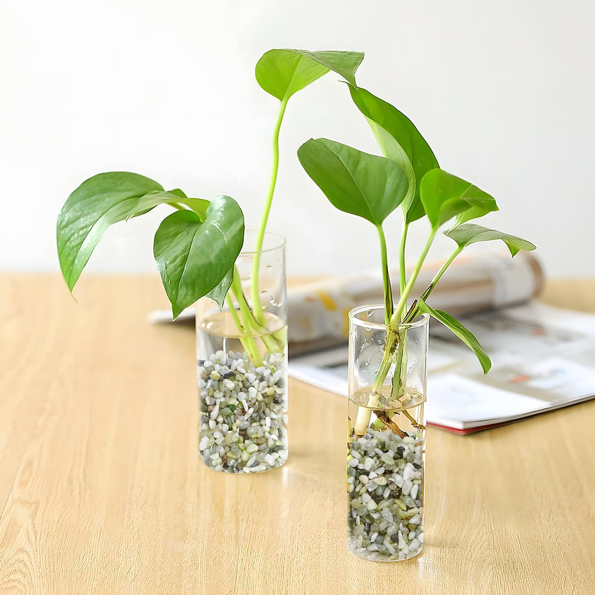 Pulovin jade pebbles for bamboo displays elevate decor with eco-friendly elegance.