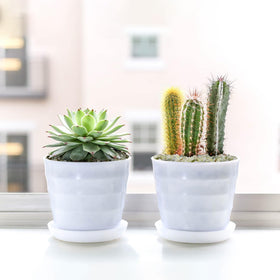 Pulovin jade pebbles for glass jars provide stability and color accents.