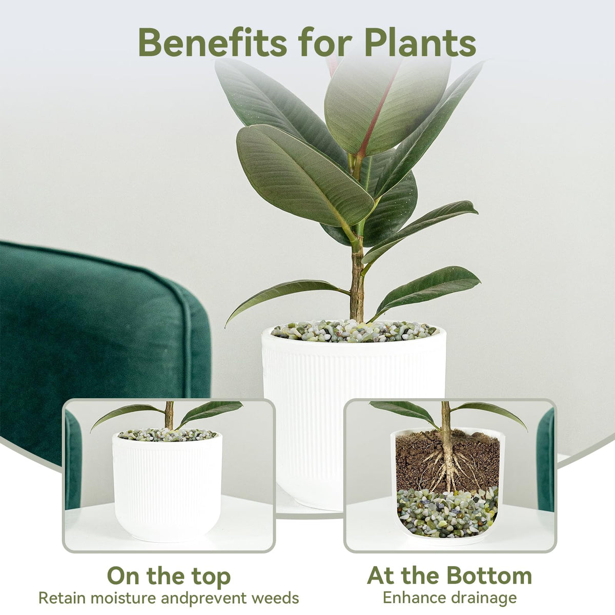 Pulovin jade pebbles for terrariums create natural texture and depth.