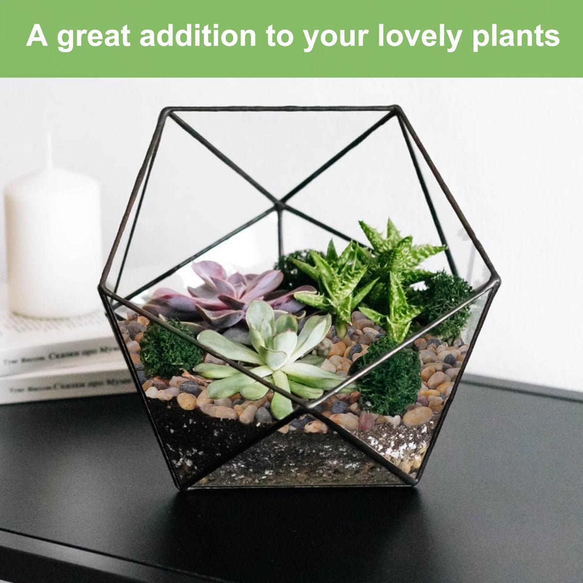 Pulovin gravel in a glass vase enhances layout with varied sizes