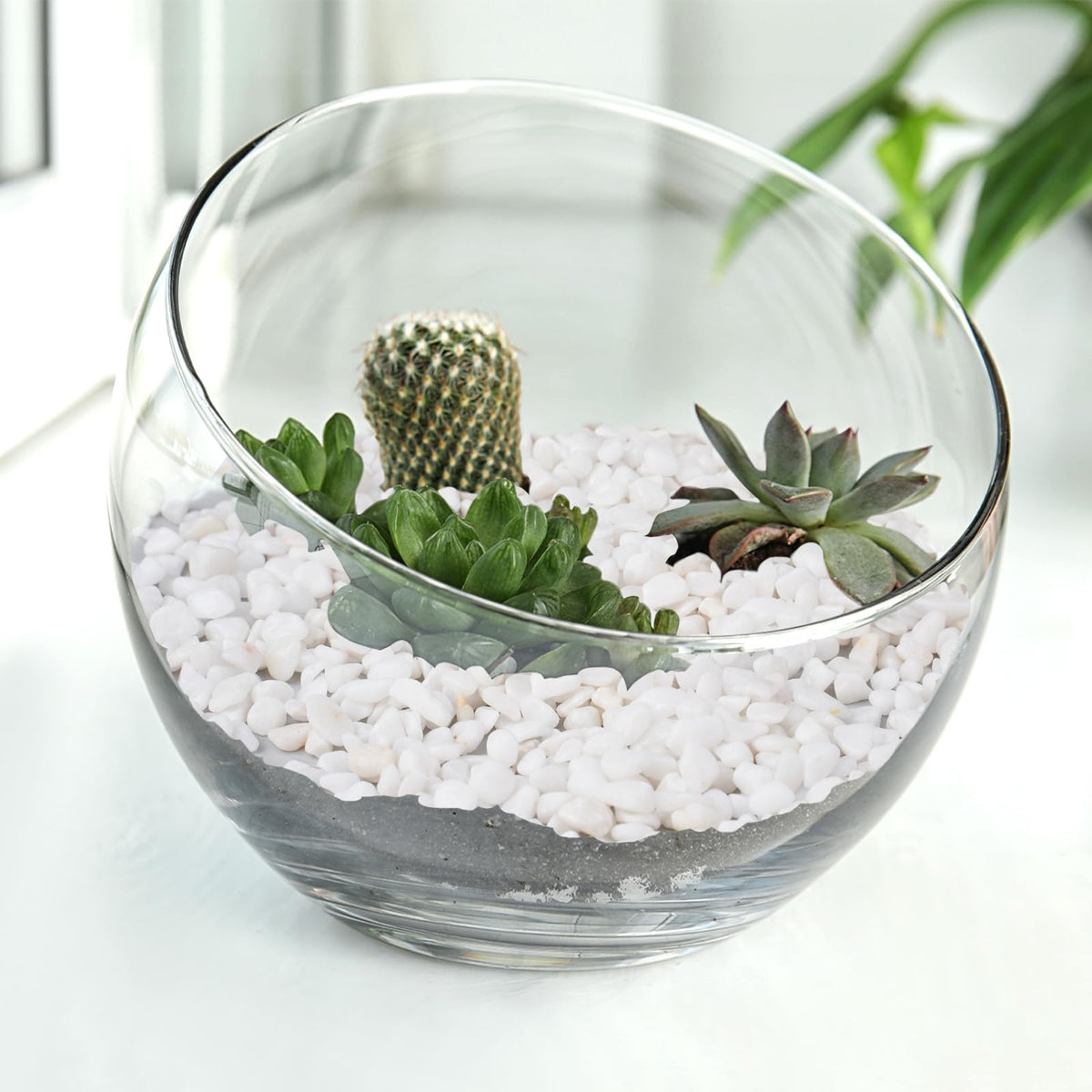 Pulovin drainage stones shown as soil protection for potted plants.