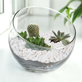 Pulovin drainage stones shown as soil protection for potted plants.