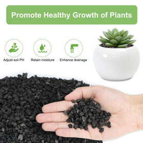 Pulovin lava rocks for bonsai improve drainage while adding visual contrast.