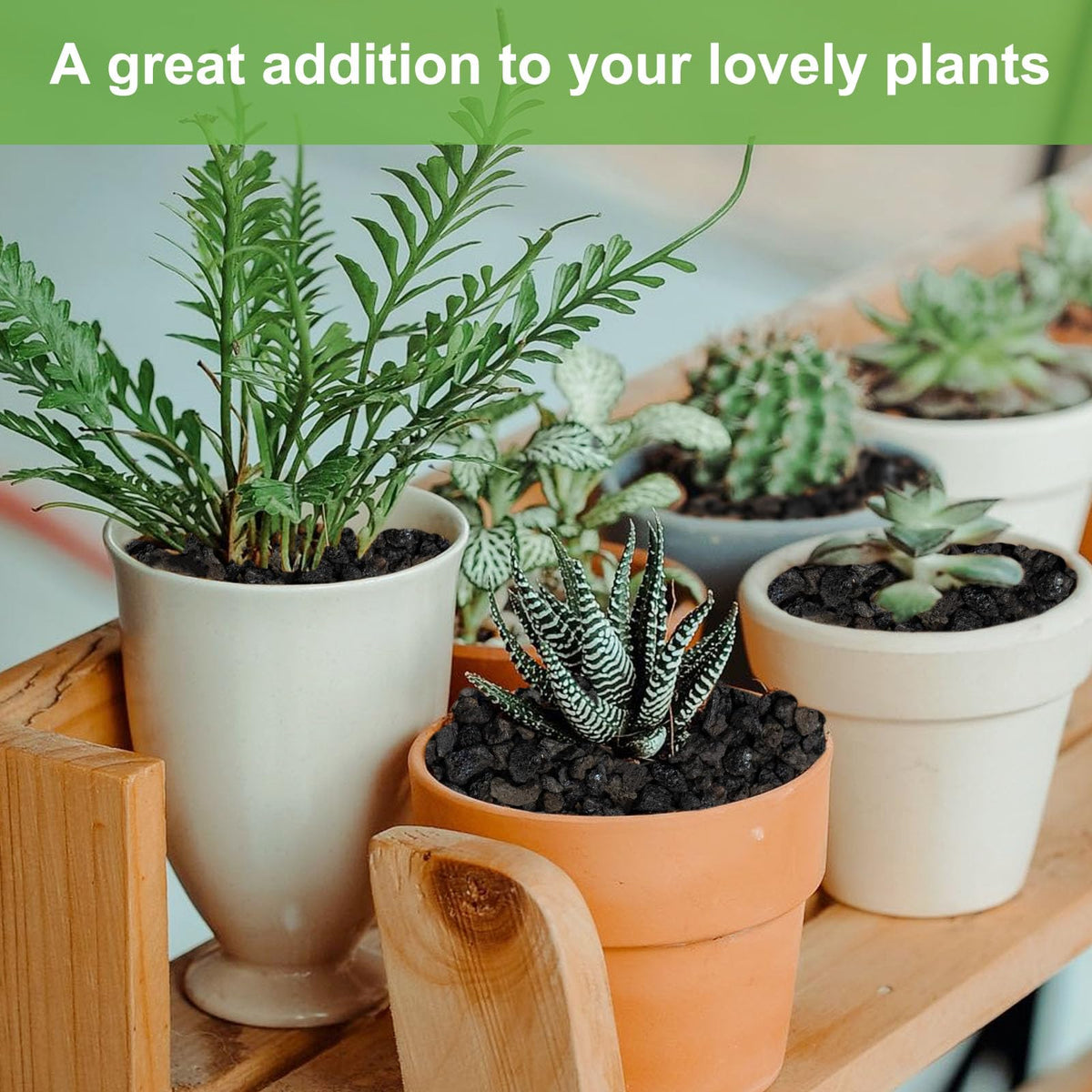 Pulovin lava rocks improve drainage in orchid baskets and pots