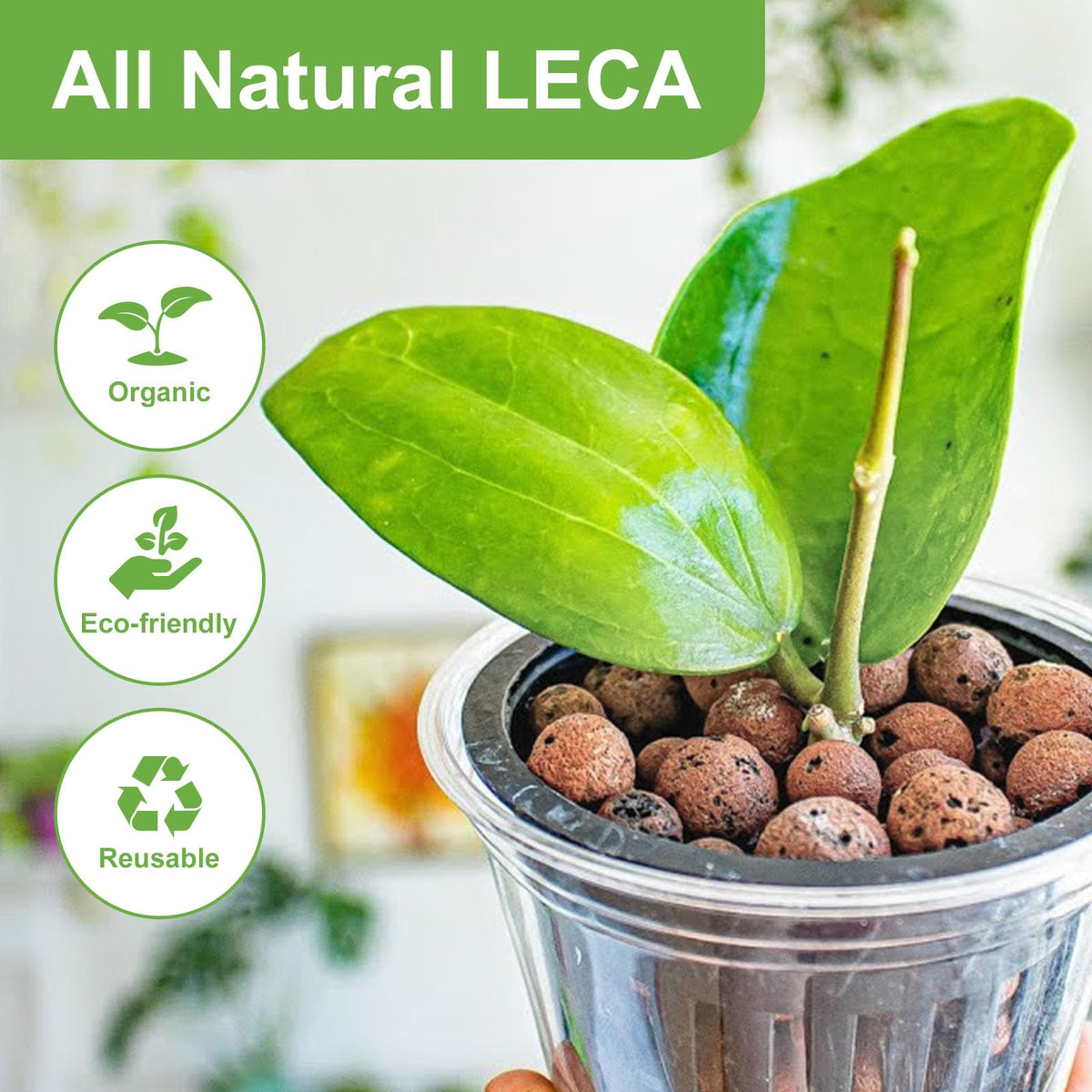 Pulovin LECA clay balls in aquaponics support drainage and airflow.