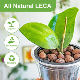 Pulovin LECA clay balls in aquaponics support drainage and airflow.