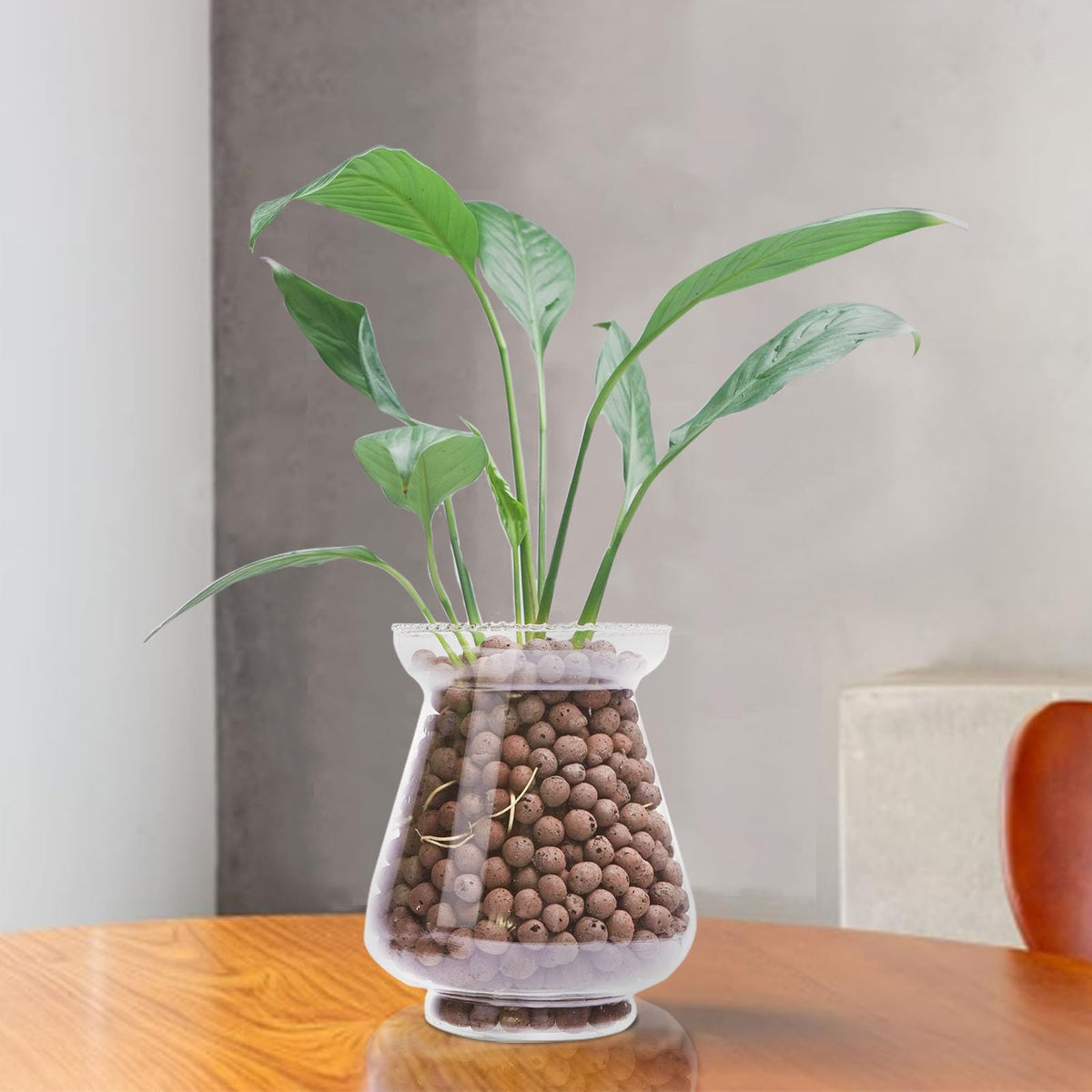 Pulovin LECA soilless culture pebbles promote robust root development.