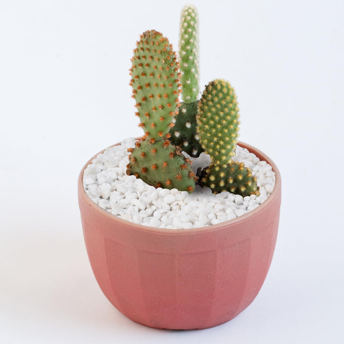 Pulovin natural eco friendly pebbles offering durable decor options.