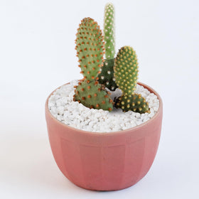 Pulovin natural eco friendly pebbles offering durable decor options.
