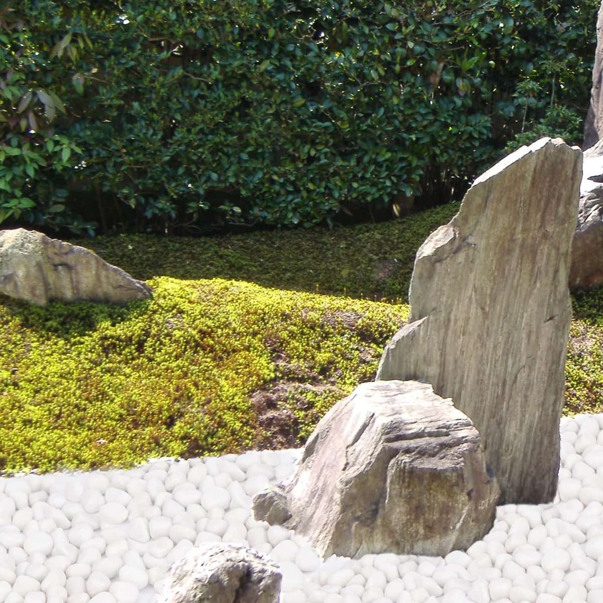 Pulovin ornamental white rocks framing a flower bed with brightness
