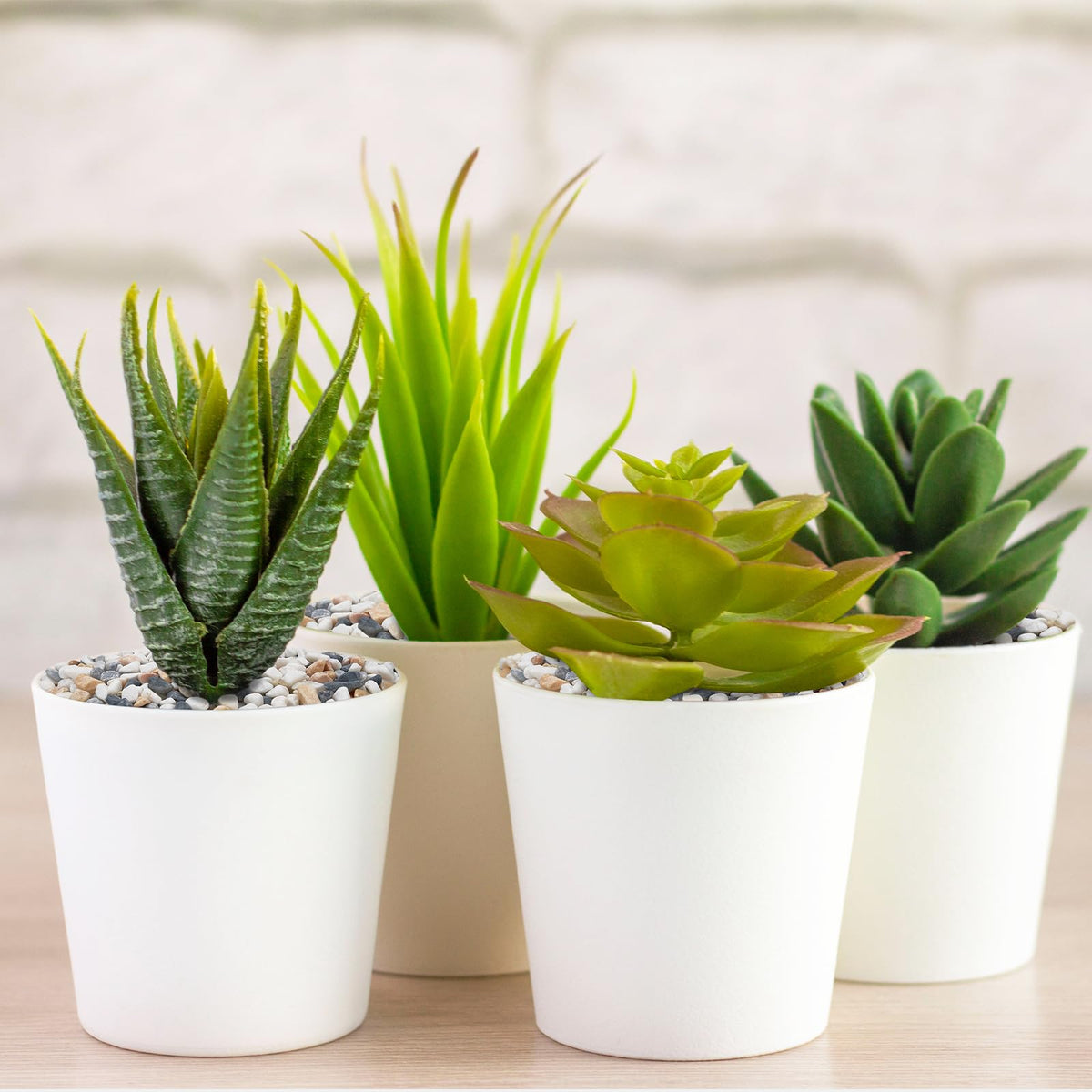 Pulovin succulent display rocks improve plant arrangements with neat pebbles.