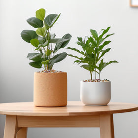 Pulovin pebbles serve as vase fillers to enhance glass jars and centerpieces