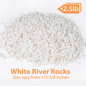 Pulovin white decorative rocks for plant displays and vases.