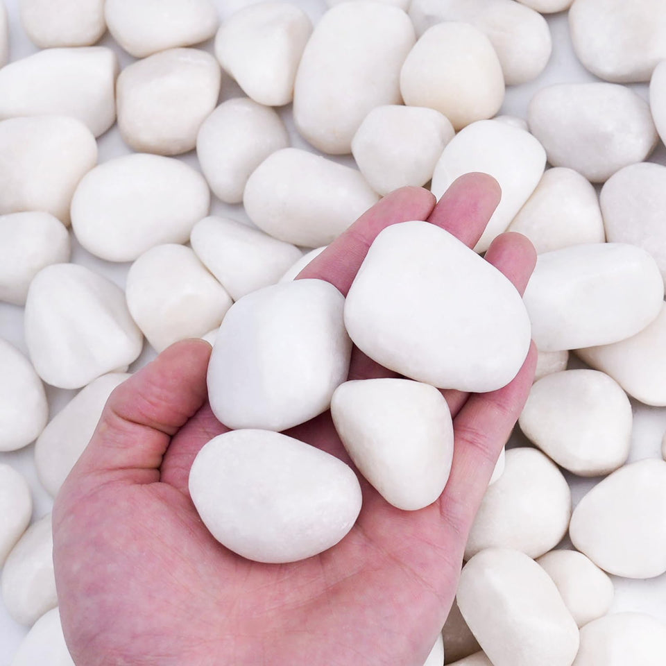 Pulovin white rocks 1-2 inch used as garden edging for a crisp border