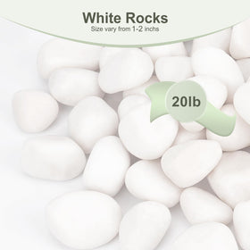 Pulovin white rocks indoor decor, enhances pots with clean, bright contrast.