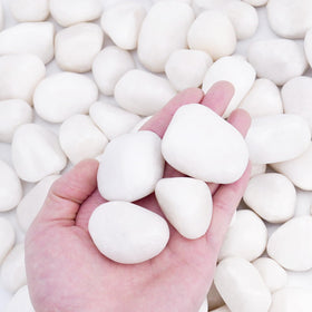 Pulovin white rocks for plants, 1-2 inch size, ideal for indoor planters.