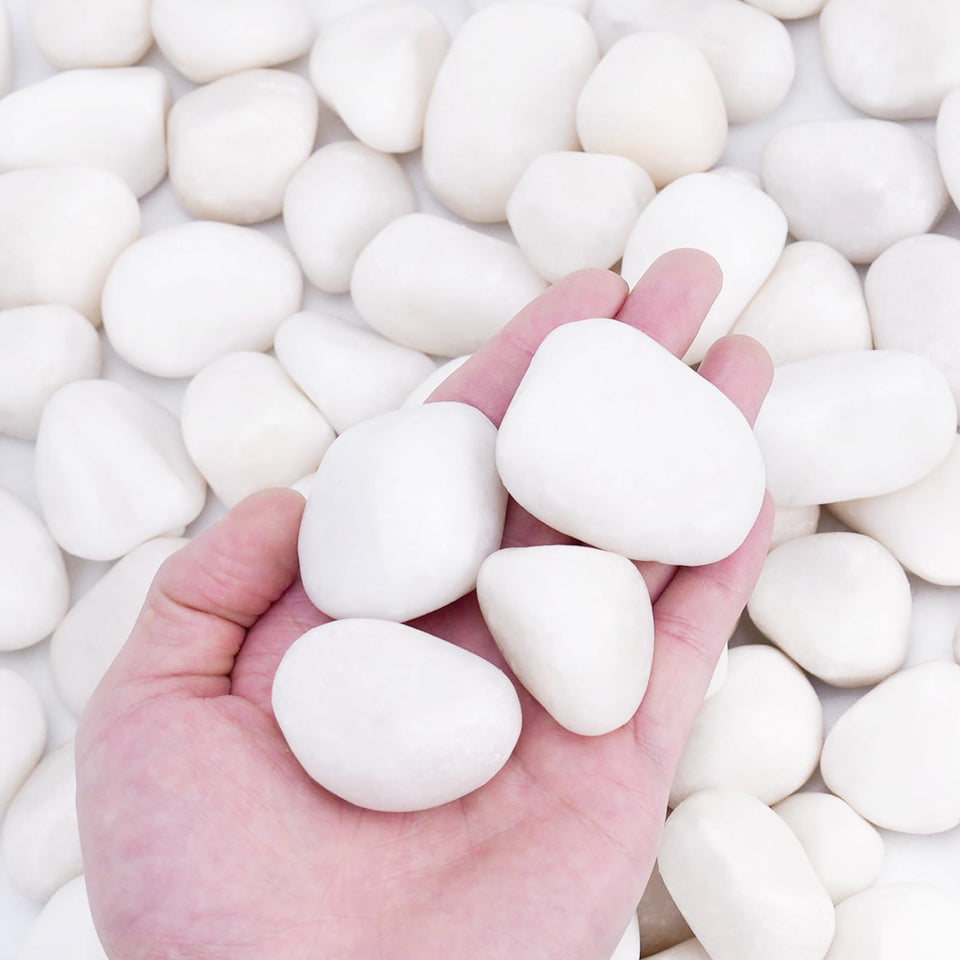 Pulovin white rocks for plants, 1-2 inch size, ideal for indoor planters.