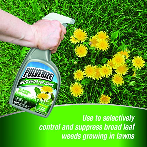 Close-up of Pulverize-treated weeds demonstrating selective iron-based control
