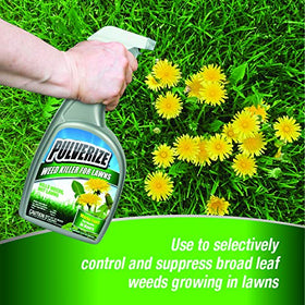 Close-up of Pulverize-treated weeds demonstrating selective iron-based control