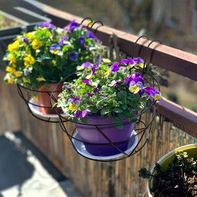 Pumtus multi-space plant ornaments on a balcony rail with greenery