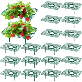 Pumtus square strawberry support keeps berries clean and off soil for better ripening.