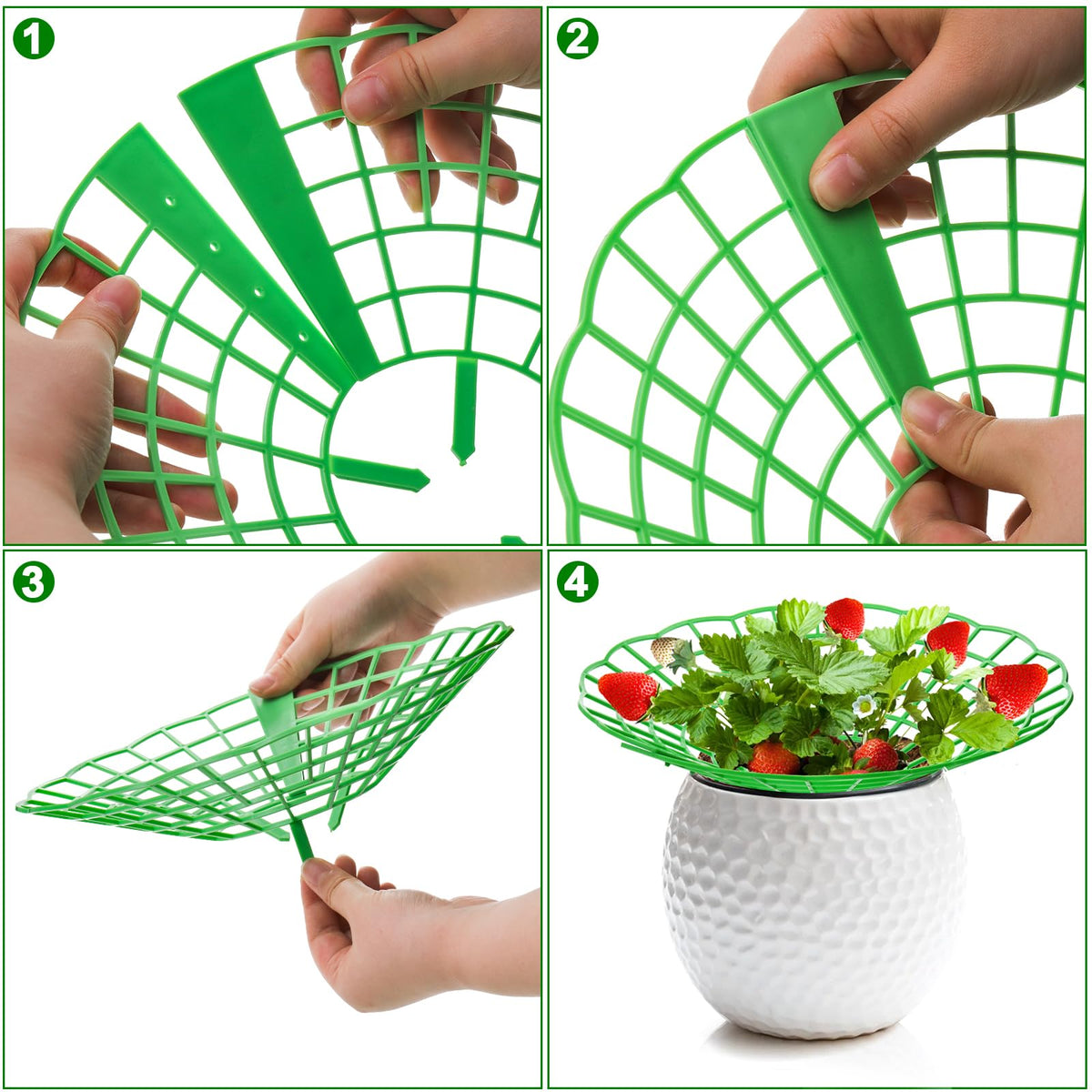 Pumtus stands suitable for berries, pots, and melons in garden