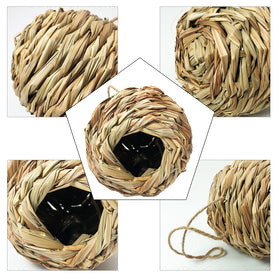 Puninoto home garden bird decoration enhances outdoor space.