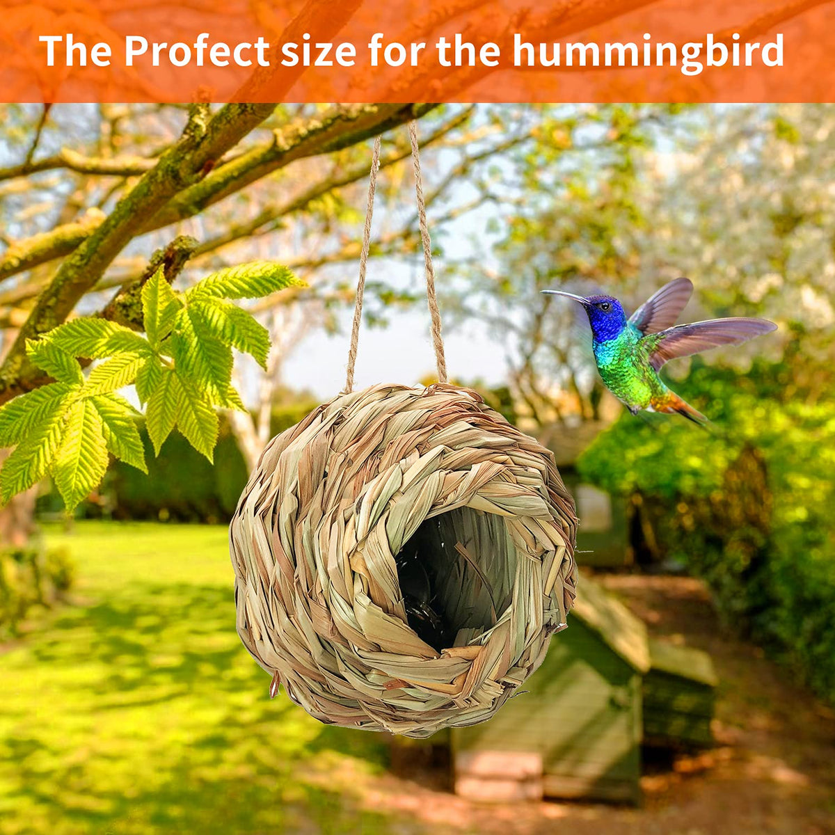 Puninoto weather-durable bird shelter withstands open air.