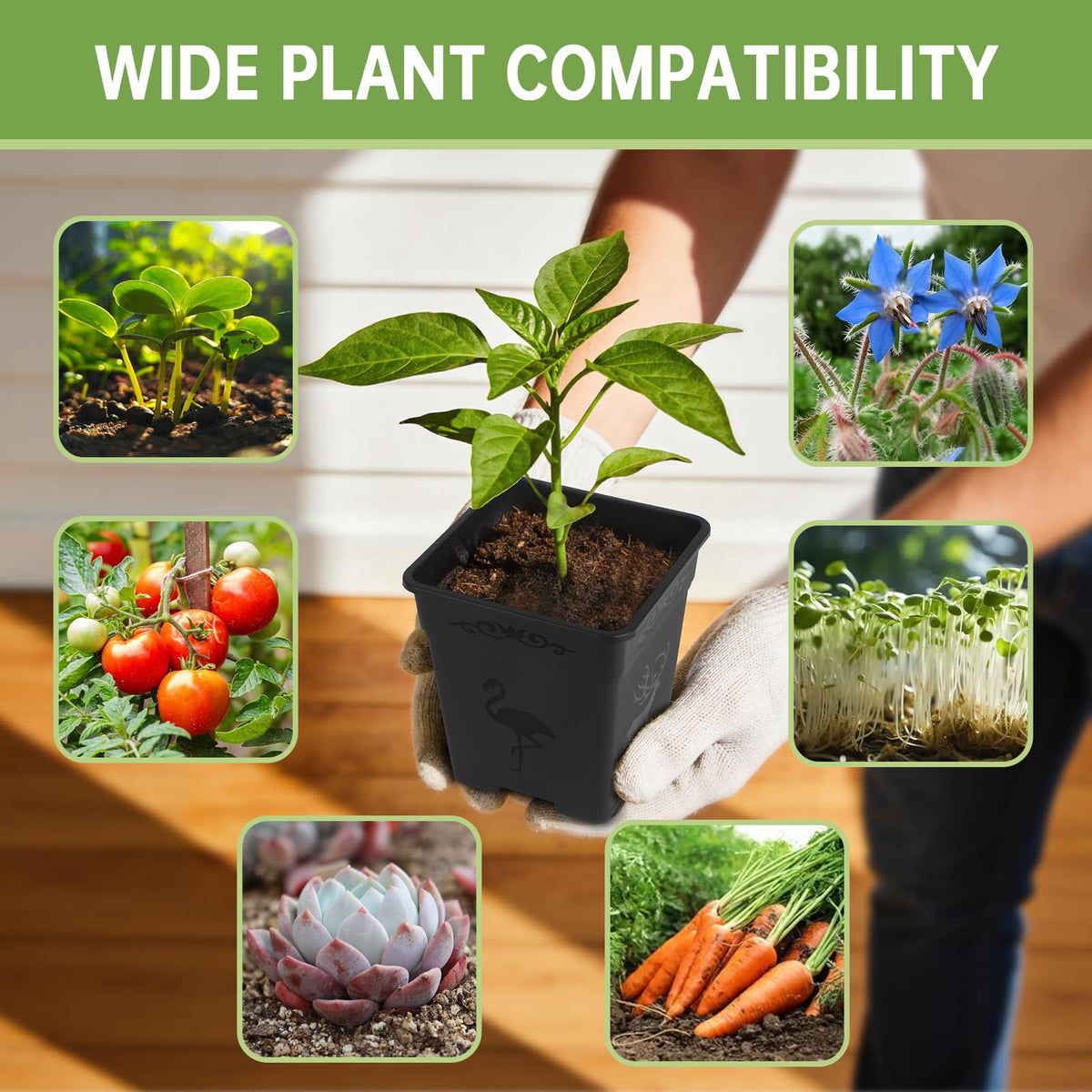 Puobao 36-pack nursery pots enabling scalable indoor gardening projects