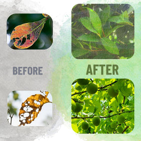 Puobao breathable mesh allows sun and rain with safe plant protection.
