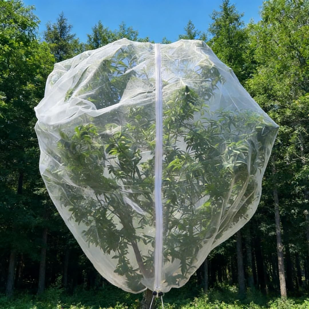 Puobao fruit tree netting 15x15ft coverage protecting mature trees from birds