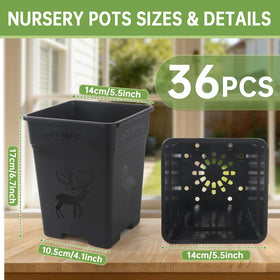 Puobao nursery pot showing drainage holes for healthy roots