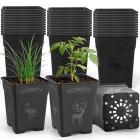 Puobao square nursery pot 5.5-inch for organized seed starting and transplanting