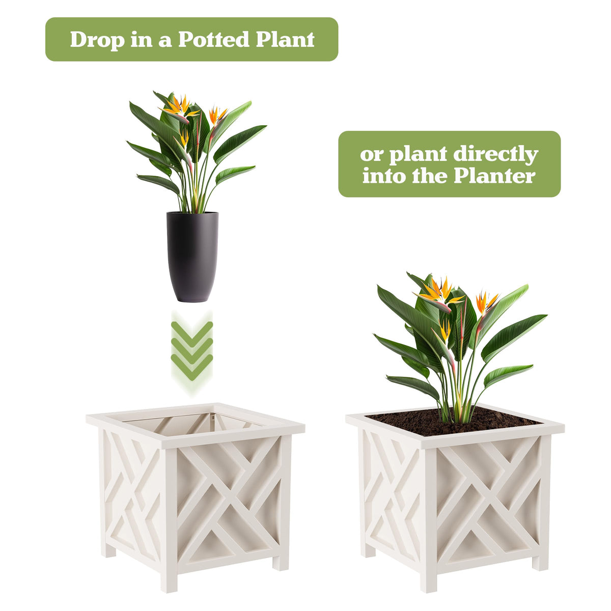 Pure Garden open-bottom planter with insert supports drainage and planting.