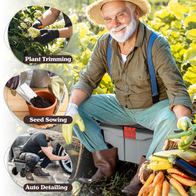 Interior view of Pure Garden cart showing removable tool tray for organization