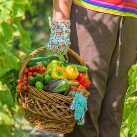 Purely Organic covers up to 250 sq ft for versatile gardening.